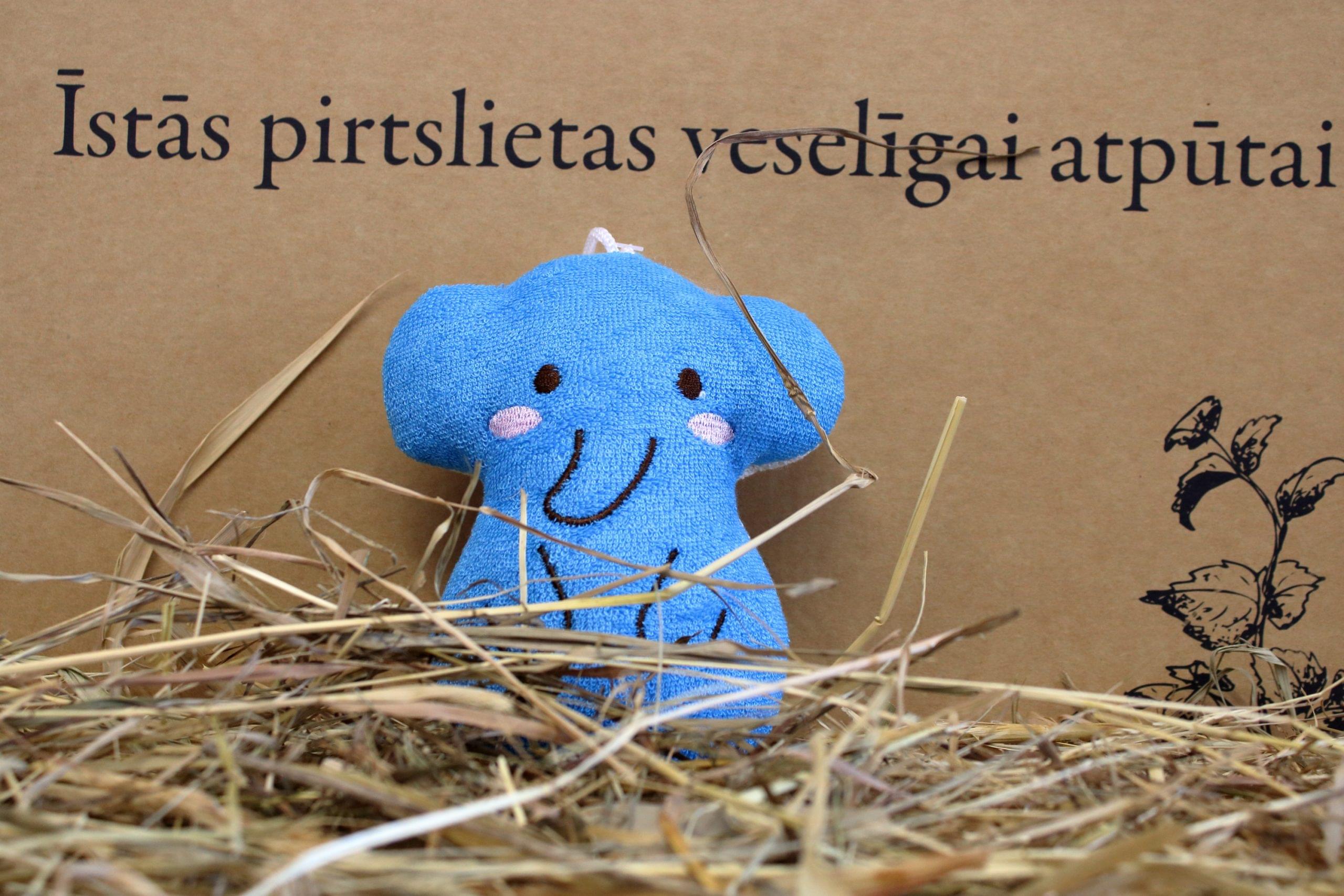 SvammeZilonitis